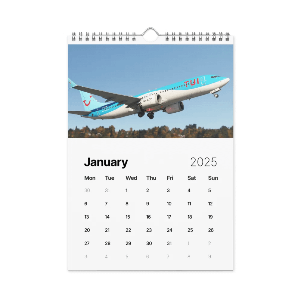 2025 Wall Calendar! Best Of: Flight Sim Screenshots! product image (7)