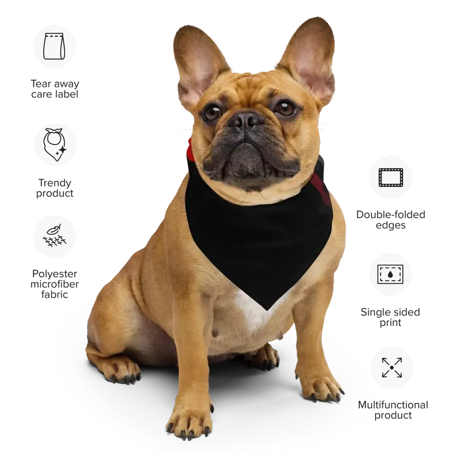 WS Bandana With Pattern product image (8)