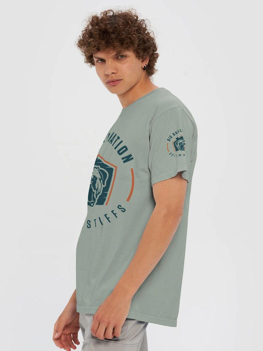 BBN Logo 2 Comfort T-Shirt product image (6)