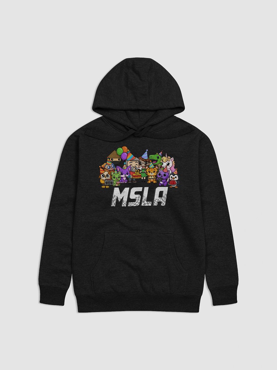 MSLA Sweet Sixteen - Hoodie product image (5)