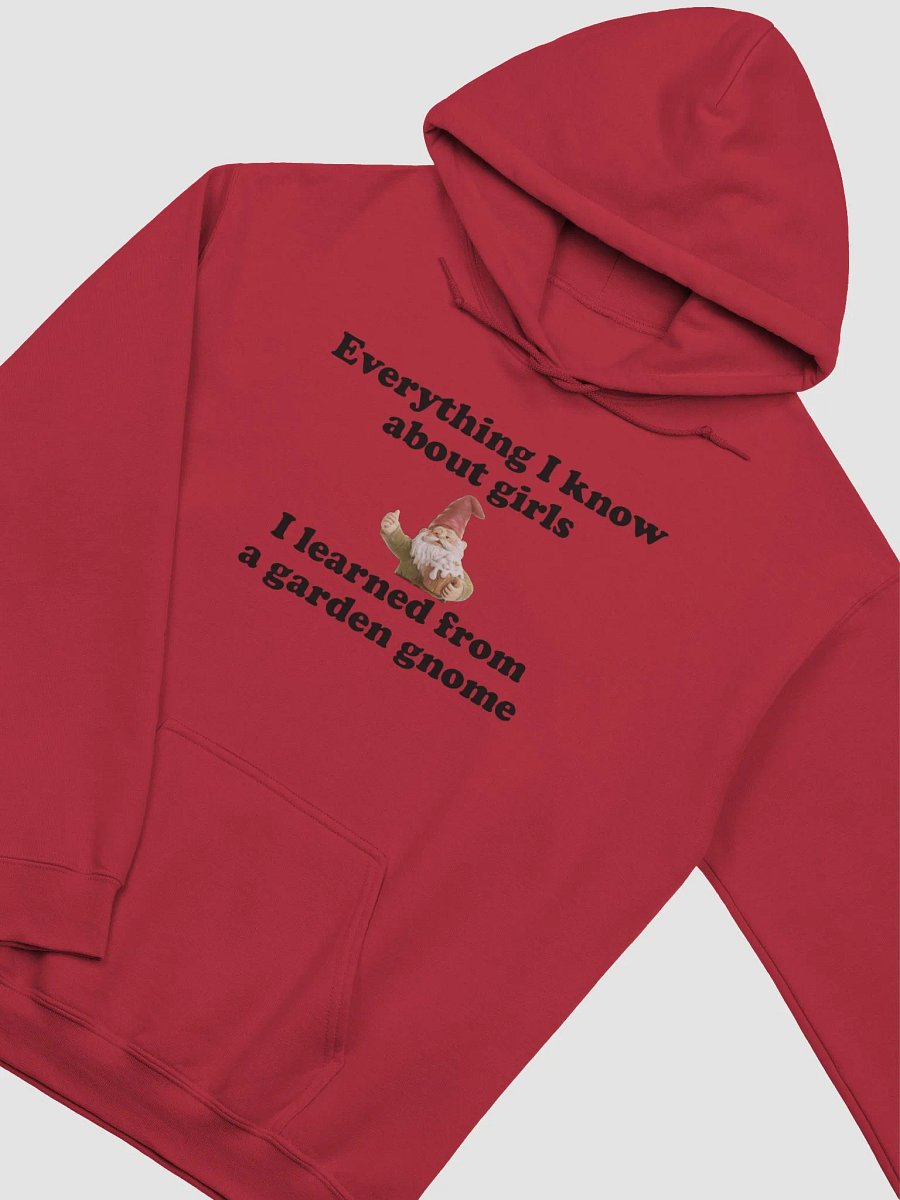 Everything I know about girls classic hoodie product image (23)