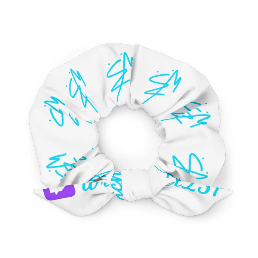 WB Scrunchie product image (4)
