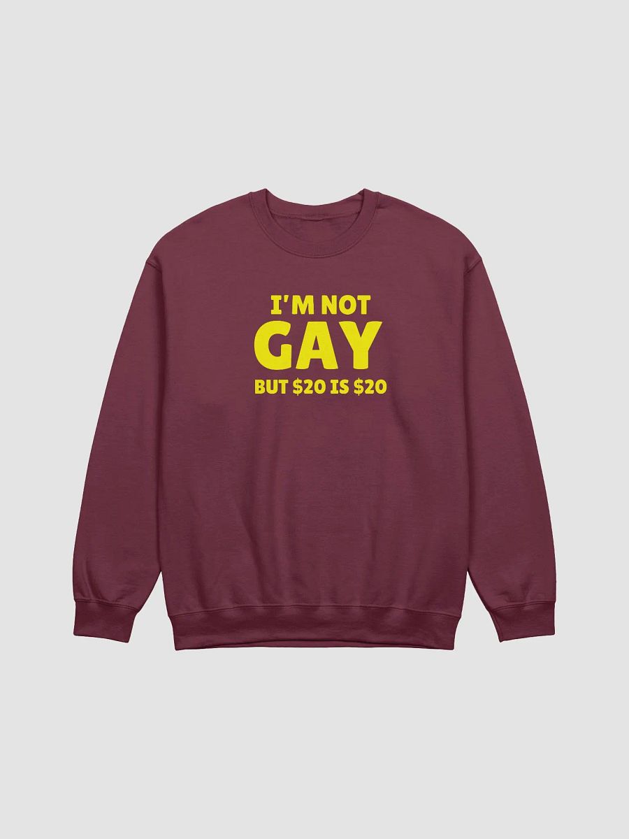 Not Gay But $20 is $20 Front Print Unisex Sweatshirt product image (1)