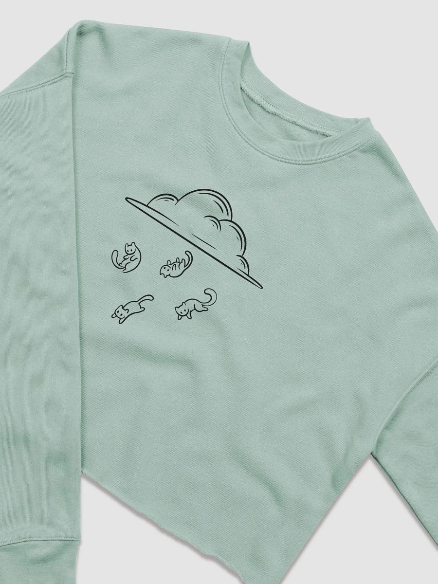 Raining With Cats Crop Sweatshirt product image (23)