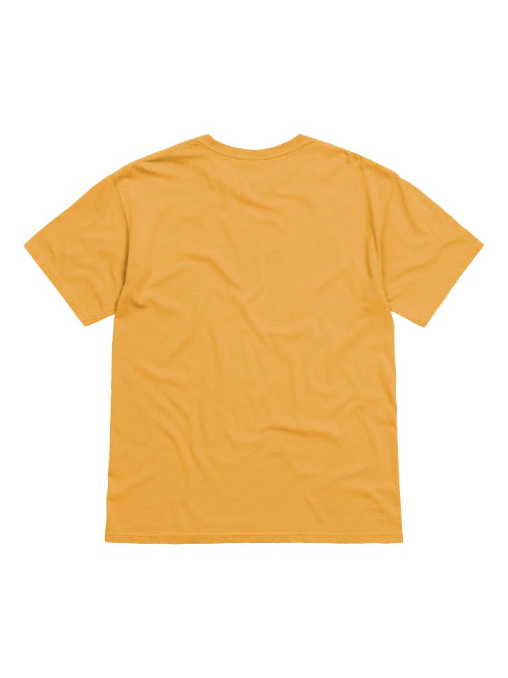 Never Surrender Charlie Kirk Turning Point USA Shirt product image (11)