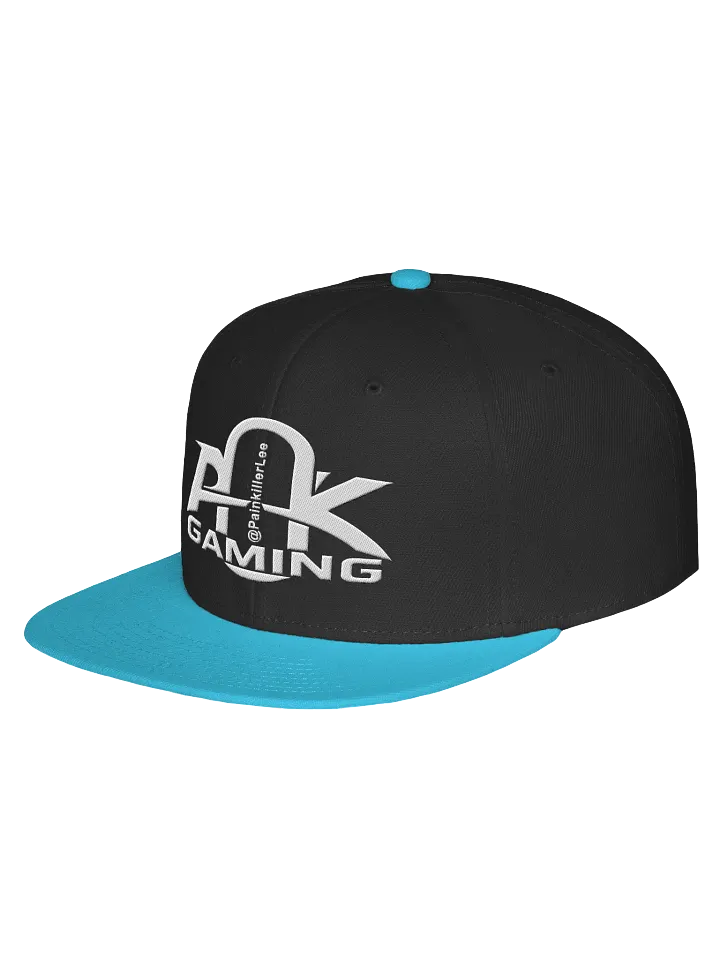 Snapback Cap with PainkillerLee Logo product image (15)