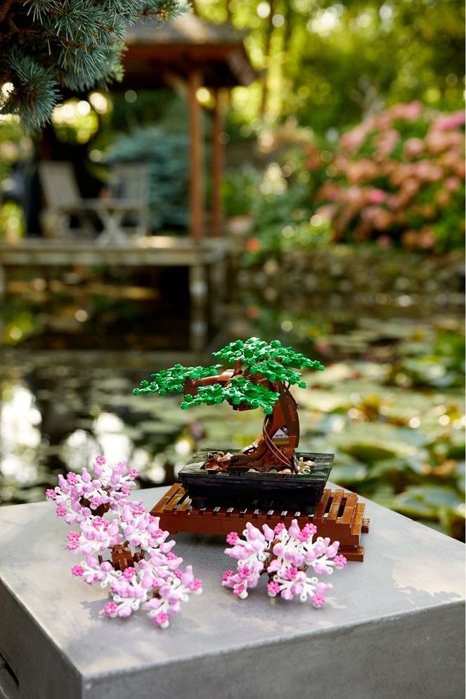 LEGO Botanical - Copac bonsai product image (3)