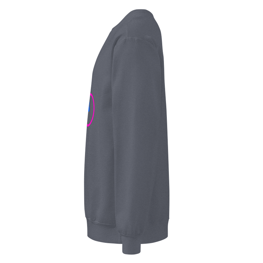 True Genders Harmony Unisex Sweatshirt product image (3)