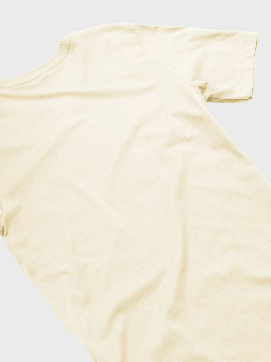 confused queer t-shirt product image (4)