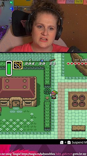 People Believe anything the government tells them #thelegendofzelda #zelda #loz #linktothepast #Zelda