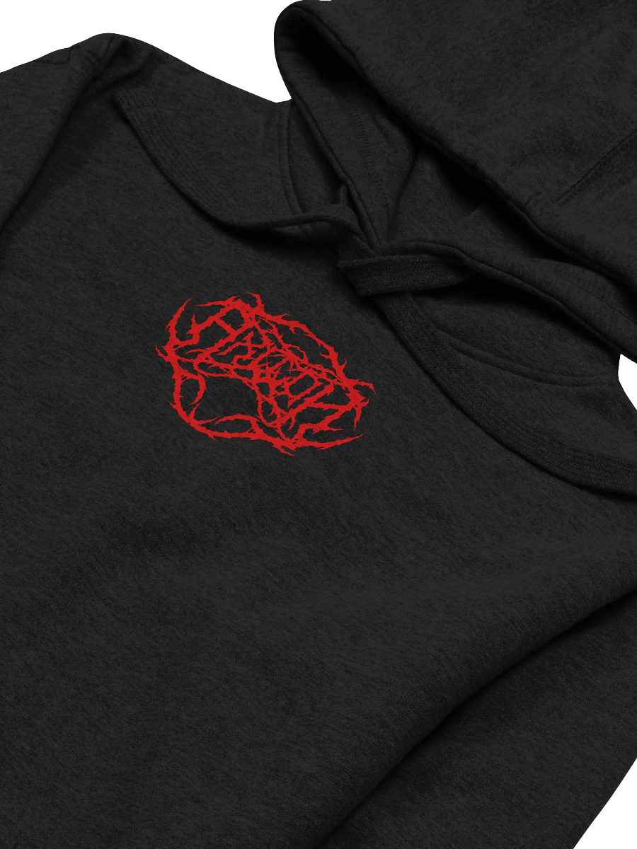 AXILON LOGO HOODIE product image (6)
