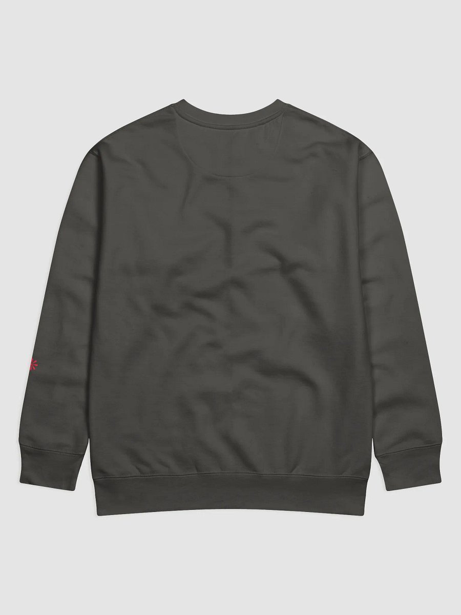 Bungalow the Atomic Robot - Cotton Sweatshirt product image (2)