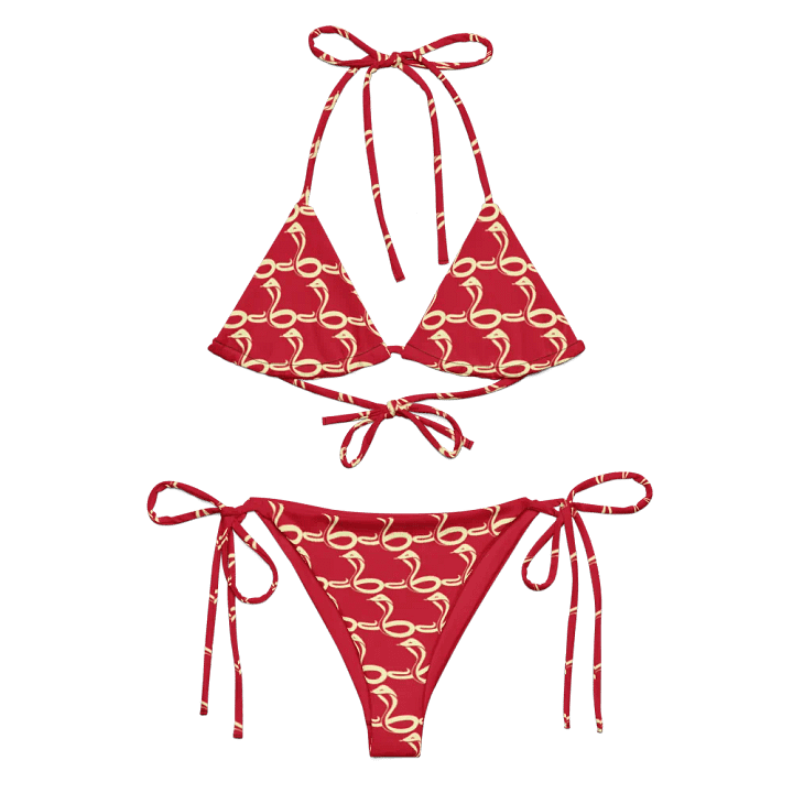 Snake Song Recycled Bikini Set product image (2)