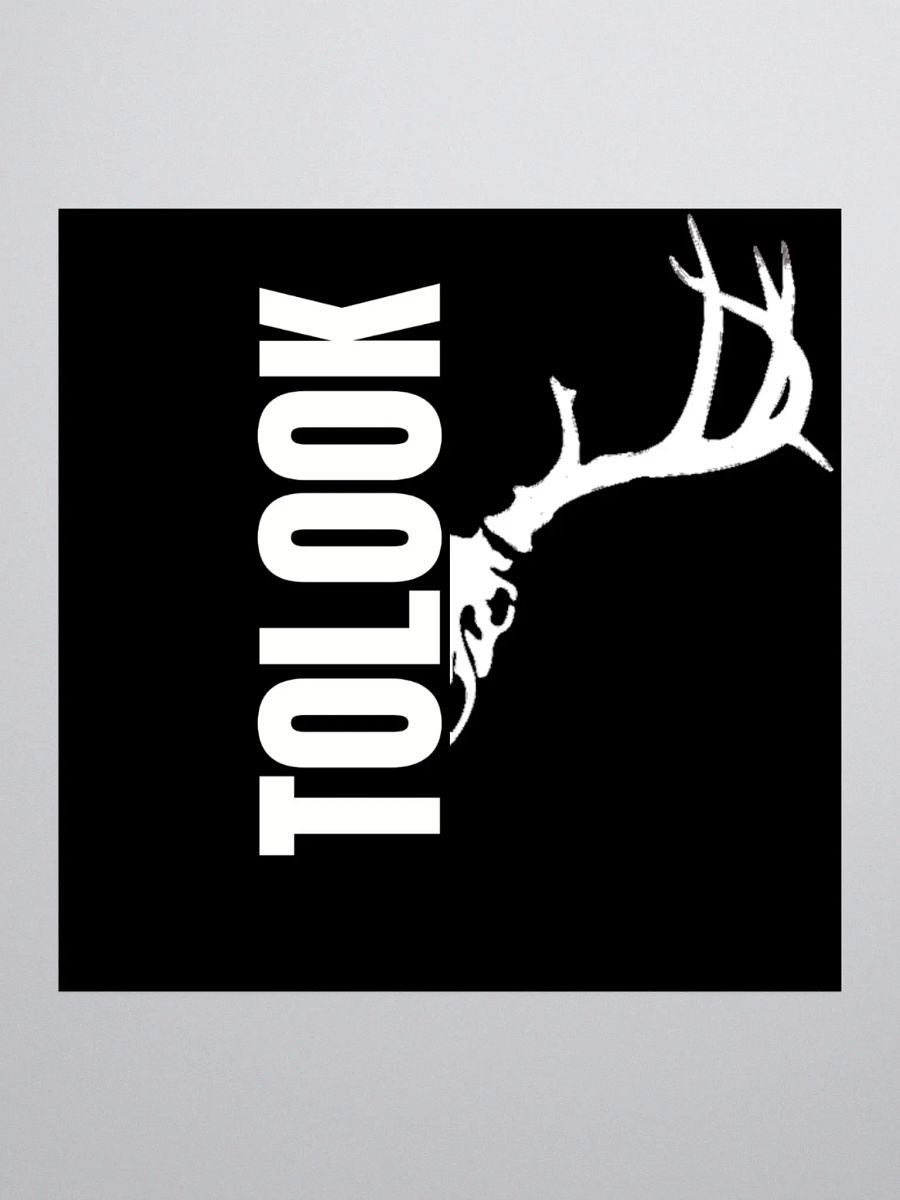 Tolook Logo Vinyl Stickers product image (1)