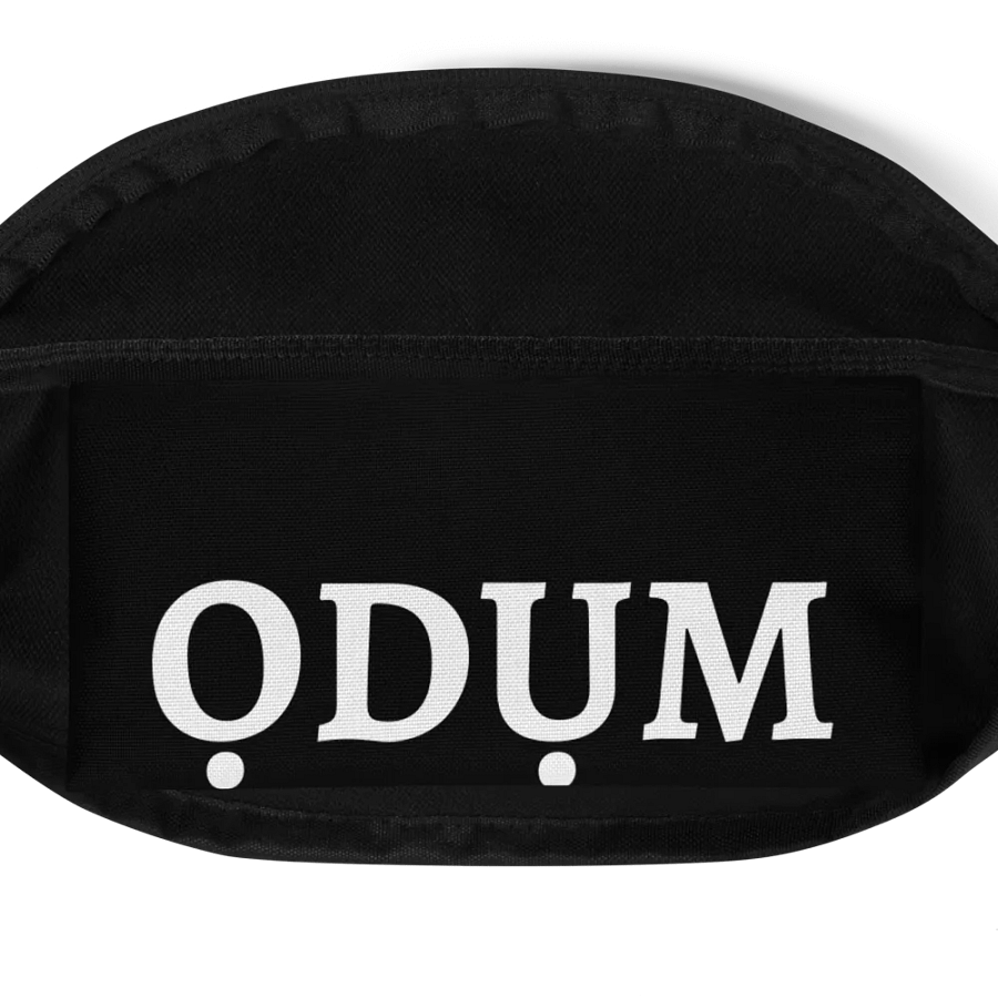 ISI ODUM Emblem Fanny Pack product image (11)