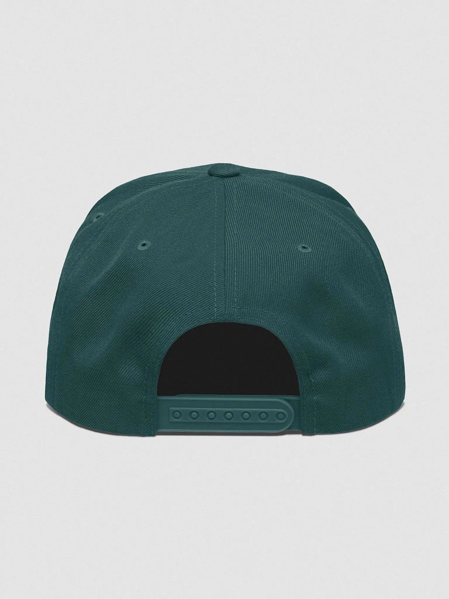 MISSISSIPPI, MS, Graffiti, Yupoong Wool Blend Snapback Hat product image (4)