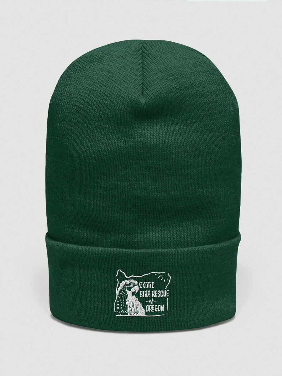 EBR Logo Beanie product image (1)
