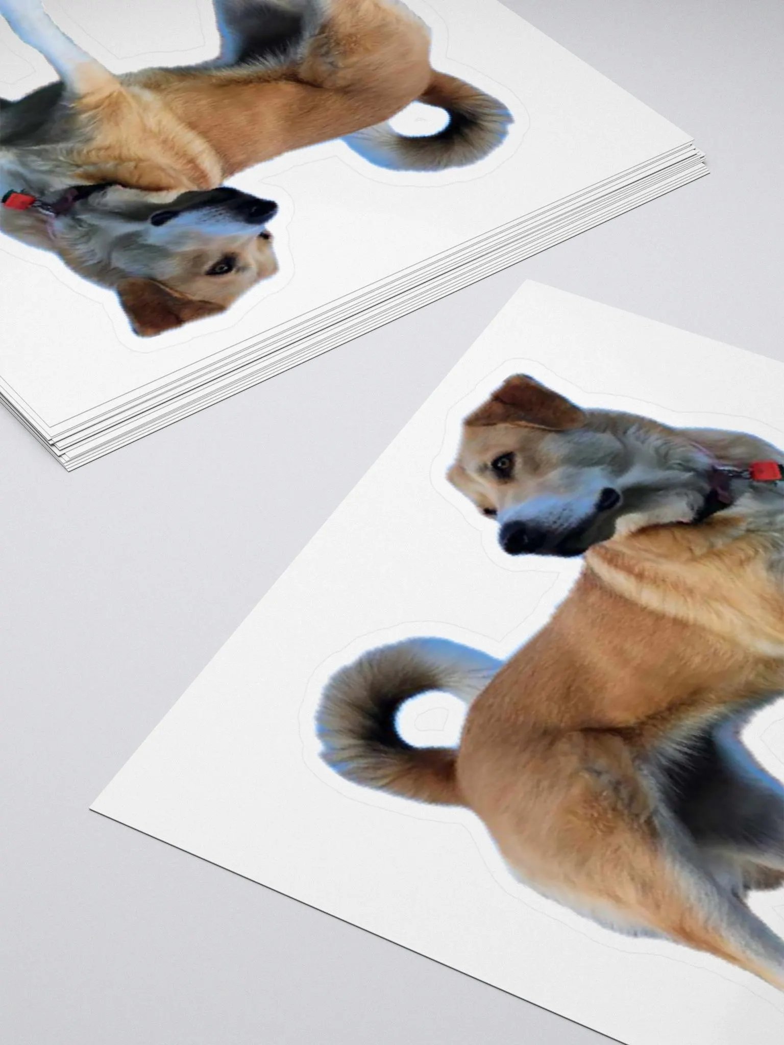 Tailsy sticker product image (4)