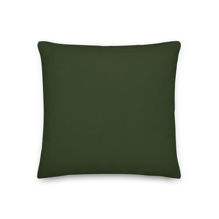 Green Holiday Snowflake Pillow product image (2)