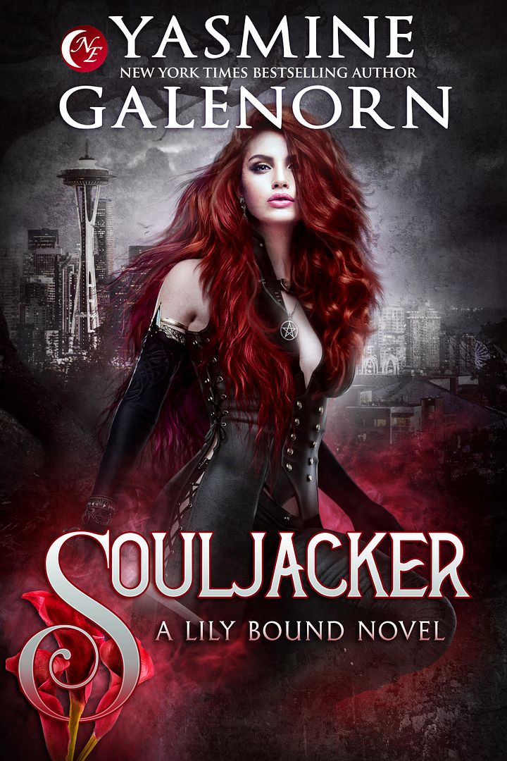 Souljacker product image (1)