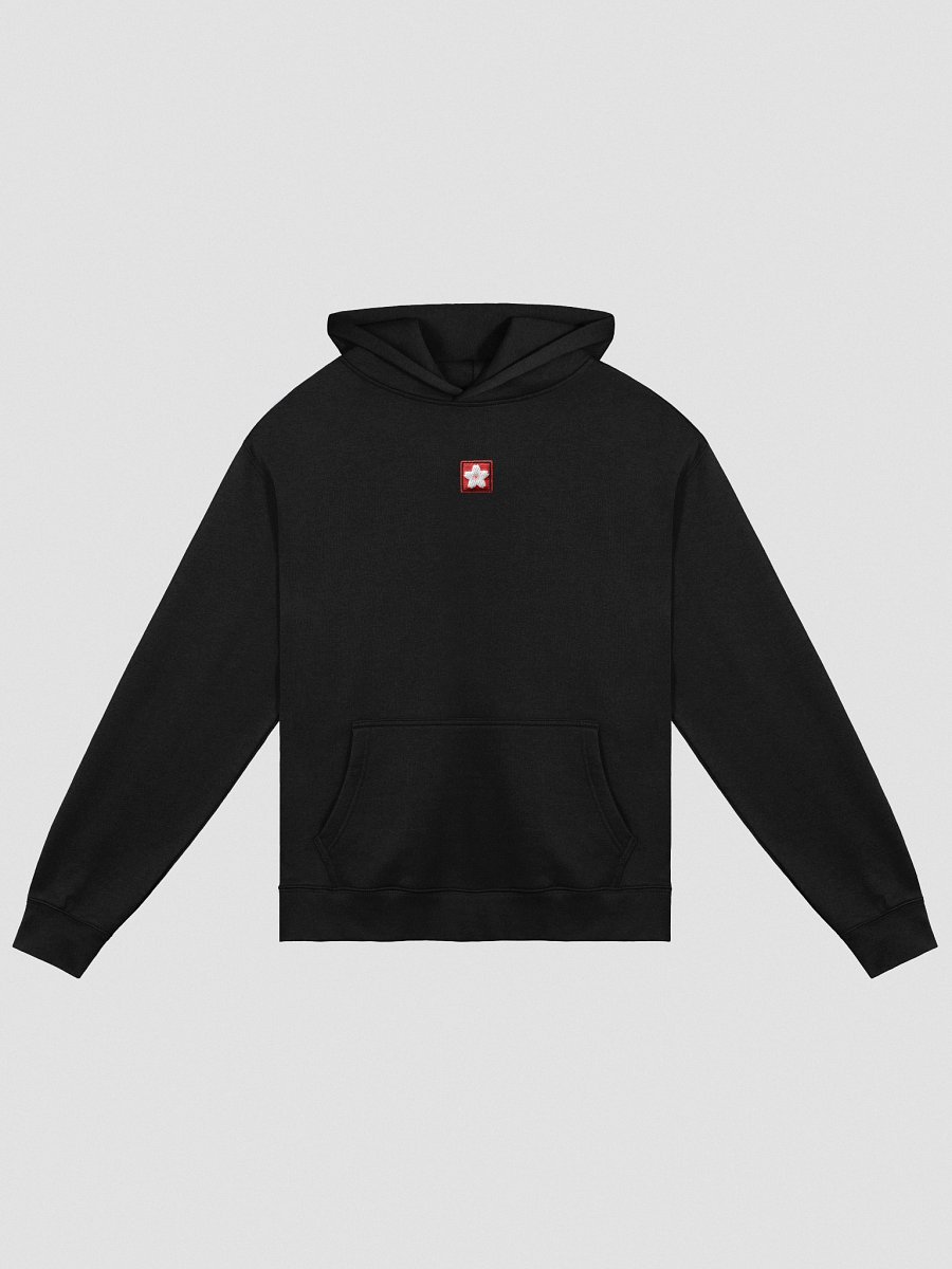 Logo Embroidered Hoodie product image (2)