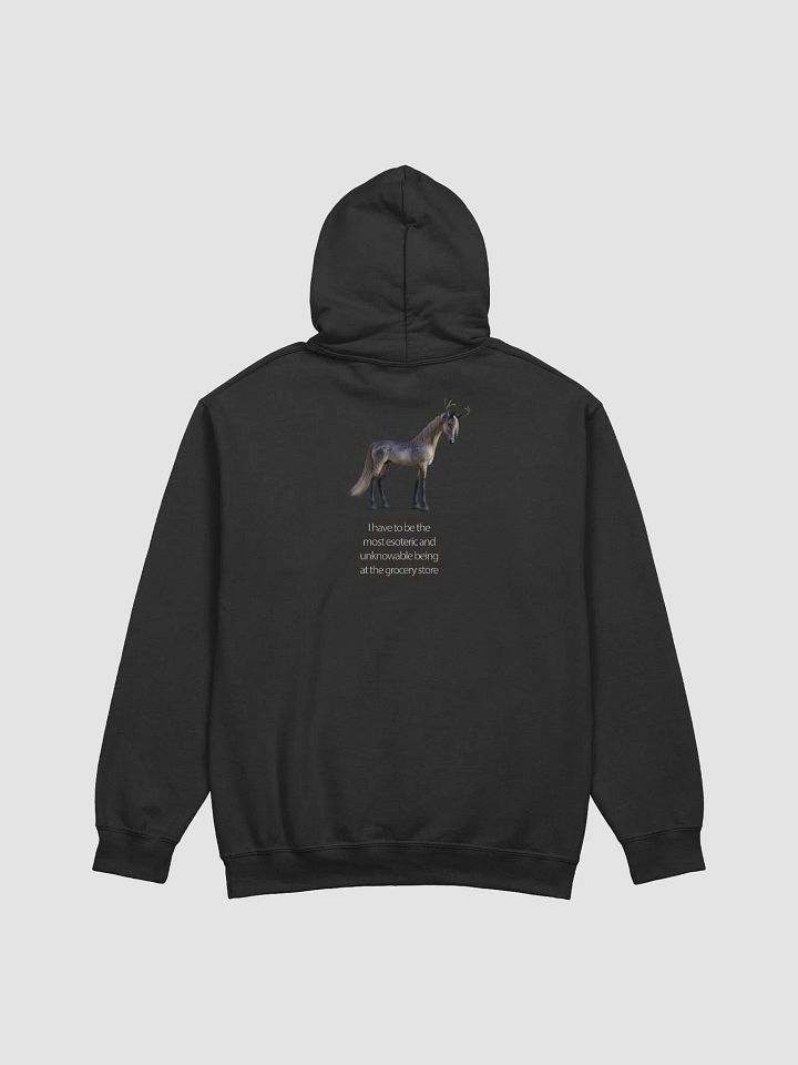 'I Have To Be The Most Esoteric Being...' Hoodie product image (1)