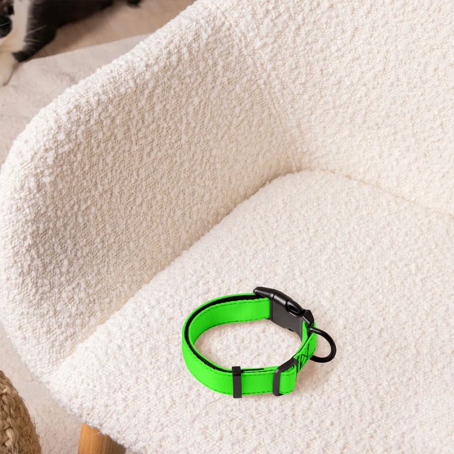 "Gracie Lou" Dog Collar product image (3)