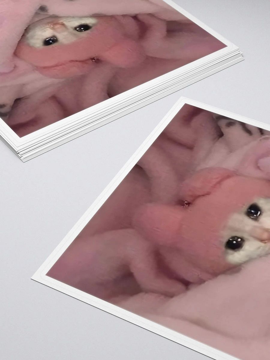 Kiss Cut Stickers: Meme Cats product image (4)