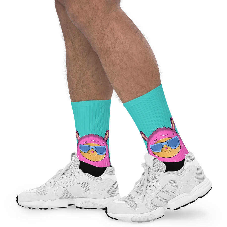 Funky Llama Socks product image (19)