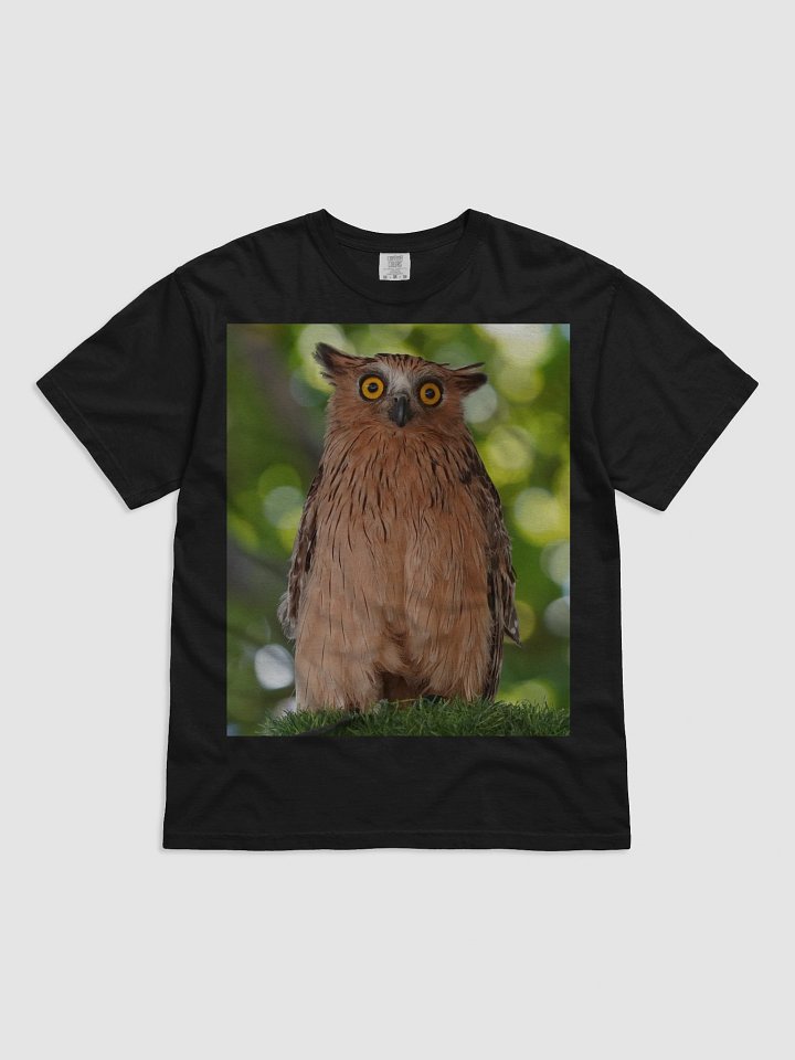 Mystic Owl Eyes T-Shirt product image (1)