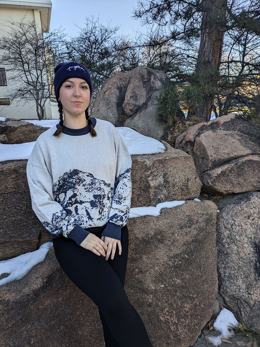 Colorado Knit Sweater - Bone/Navy product image (11)