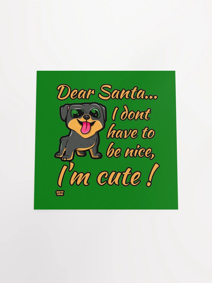 DEAR SANTA, I DON'T HAVE TO BE NICE, I'M CUTE! product image (14)