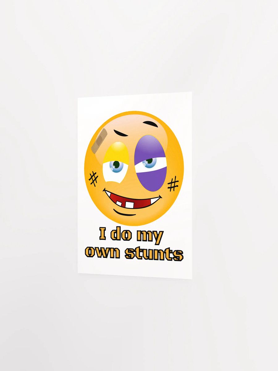 I DO MY OWN STUNTS product image (8)