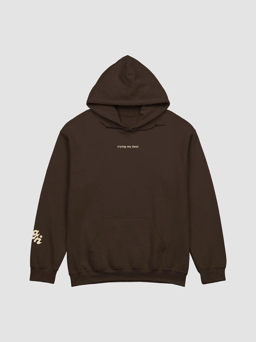 "Trying My Best" Hoodie product image (5)