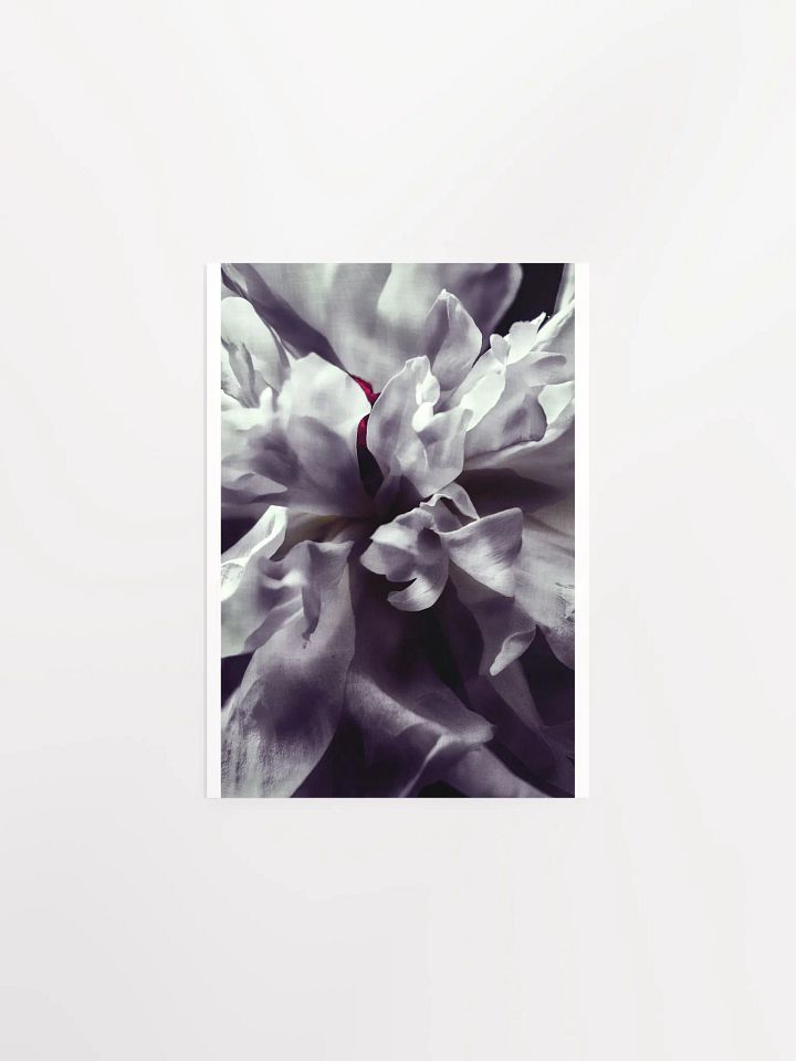 Peony Heart - Print product image (2)