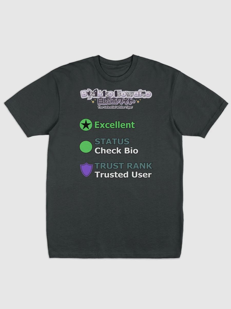 Premium Heavyweight Tee - Byakko VR Stats Excellent Edition product image (2)