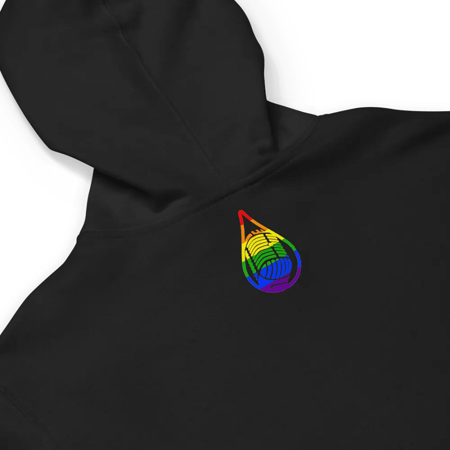 Full Zip Logo Hoodie Embroidered product image (12)