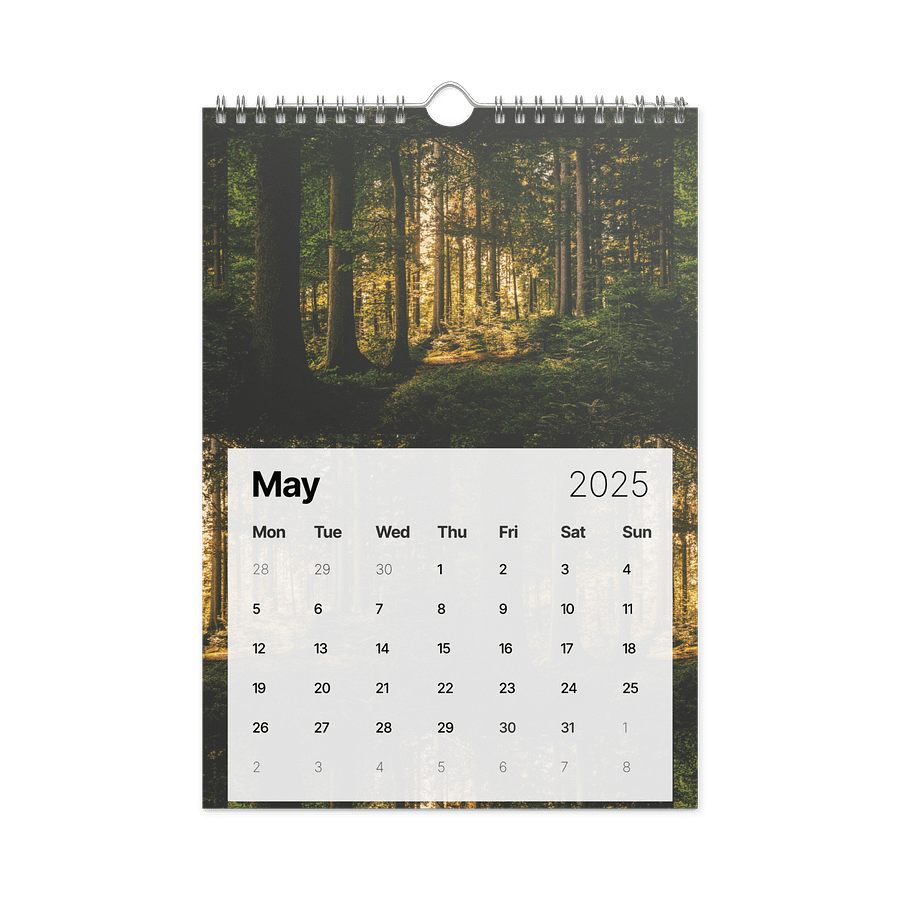 2025 Calendar product image (5)