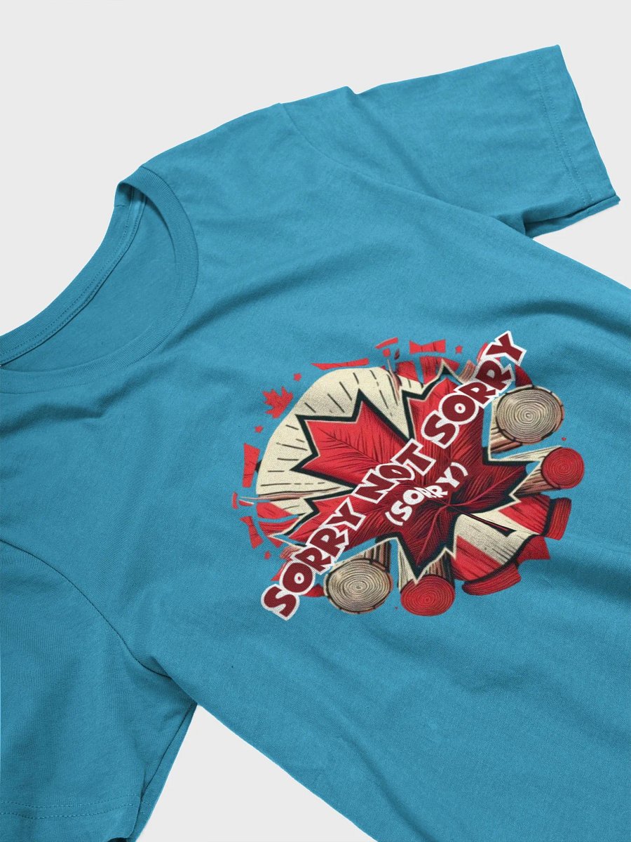 Apologetically Unapologetic Tee product image (22)