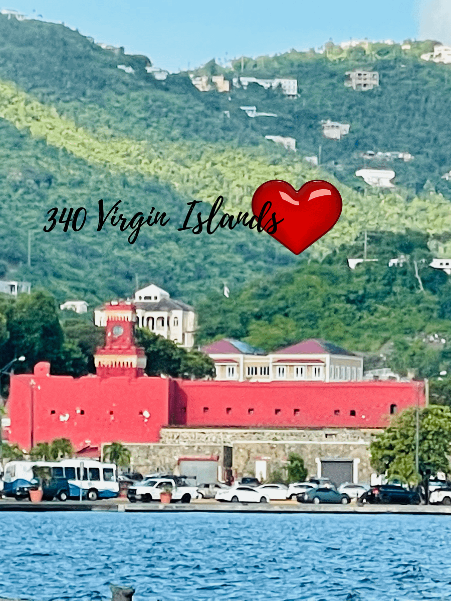 #340VILove product image (8)