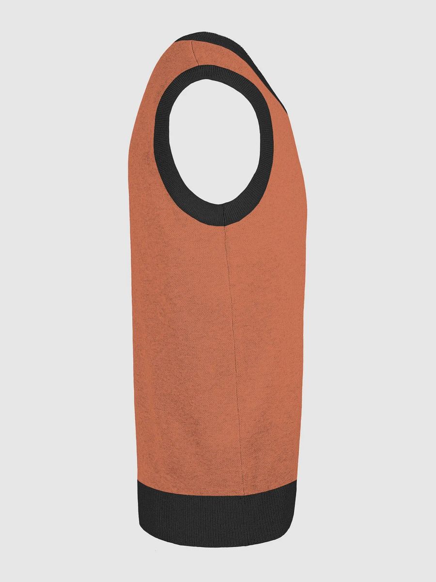 Sculpture Knit V-Neck Vest product image (5)