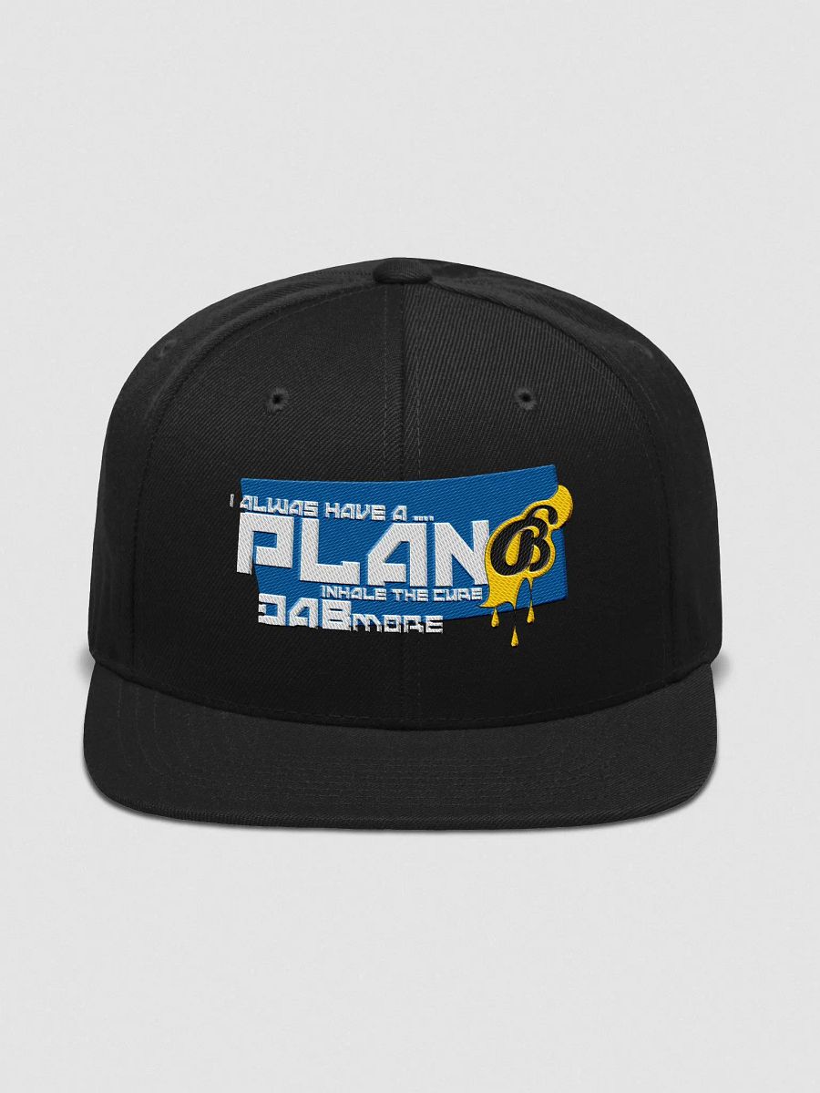 PLAN B SNAPBACK product image (1)