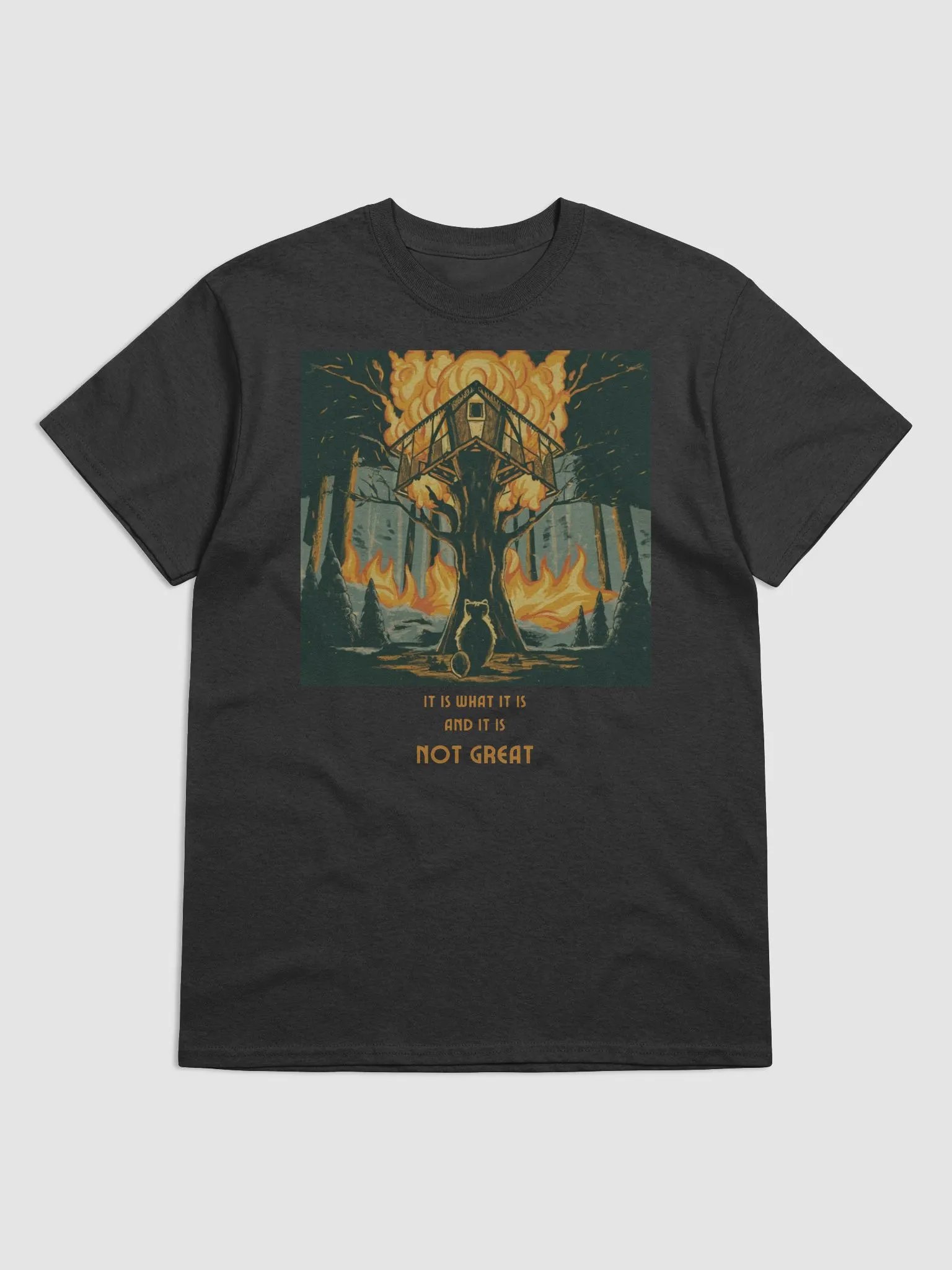 It Is What It Is T-Shirt product image (1)