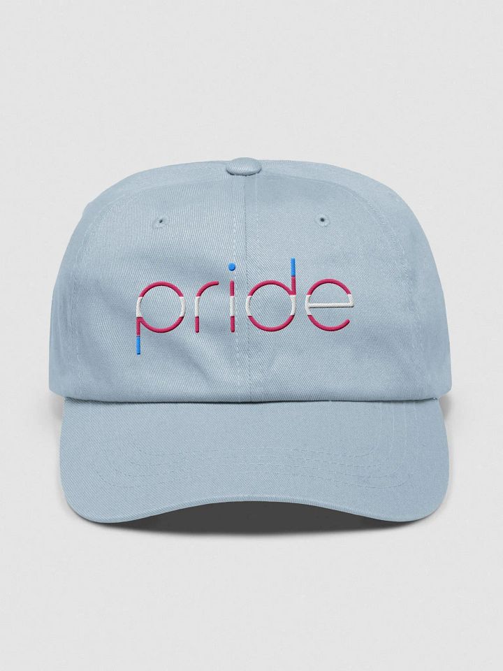 trans pride in lowercase - Embroidered Hat product image (1)