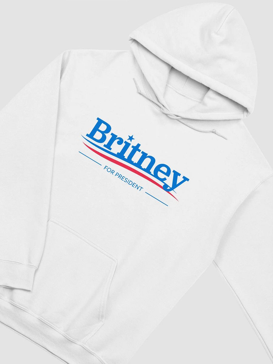 Britney 4 President - Hoodie product image (33)