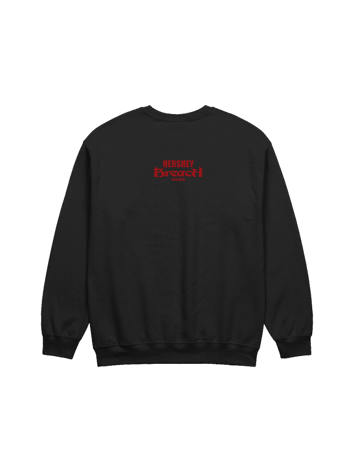 Breach Hersheypark Stadium Pullover product image (2)
