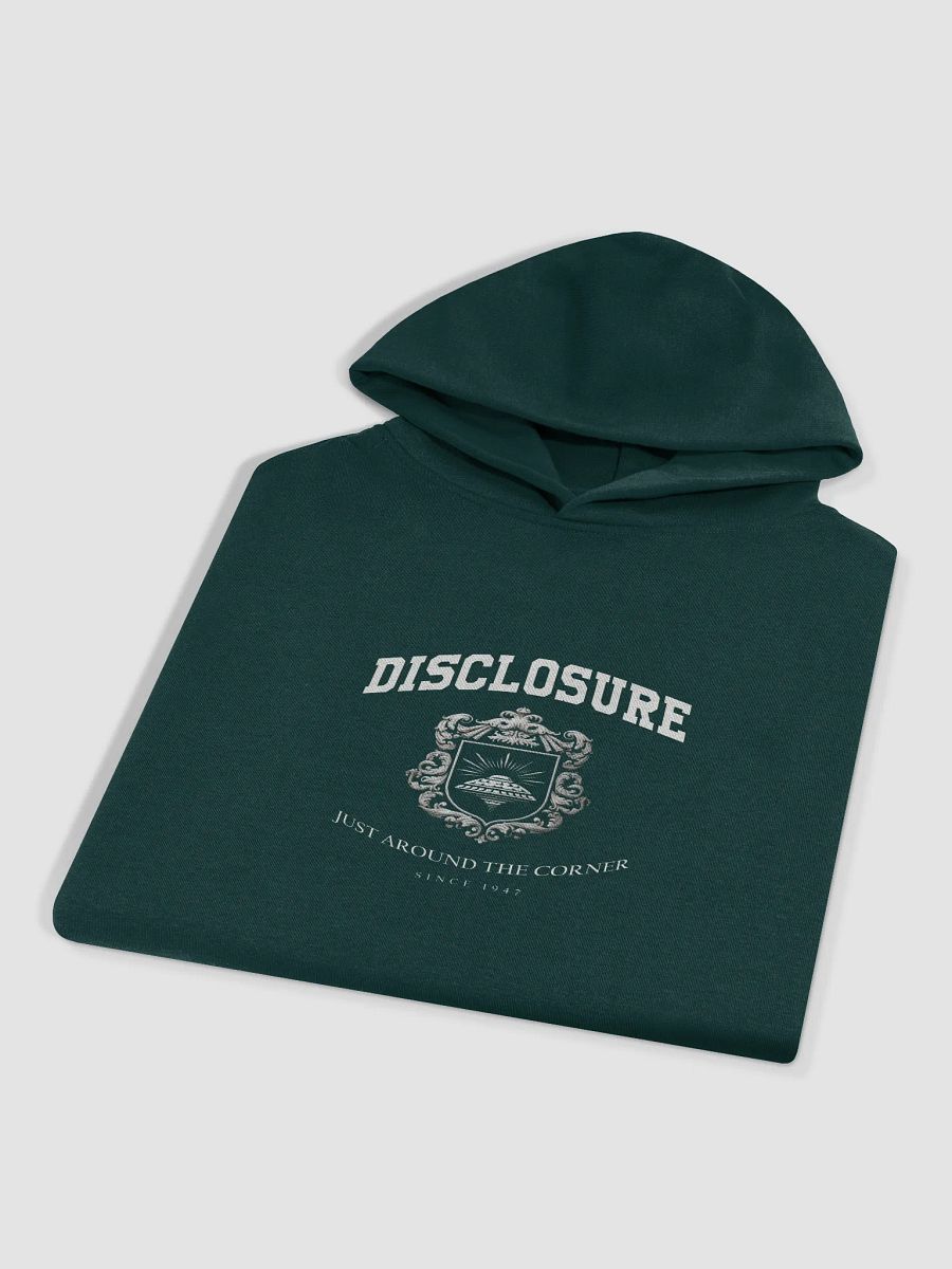 Original TSM Disclosure Tee Hoodie product image (7)