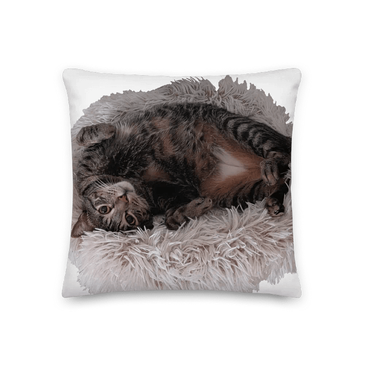 Ben Pillow product image (1)
