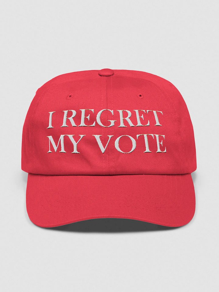 Anti Maga Hat product image (1)