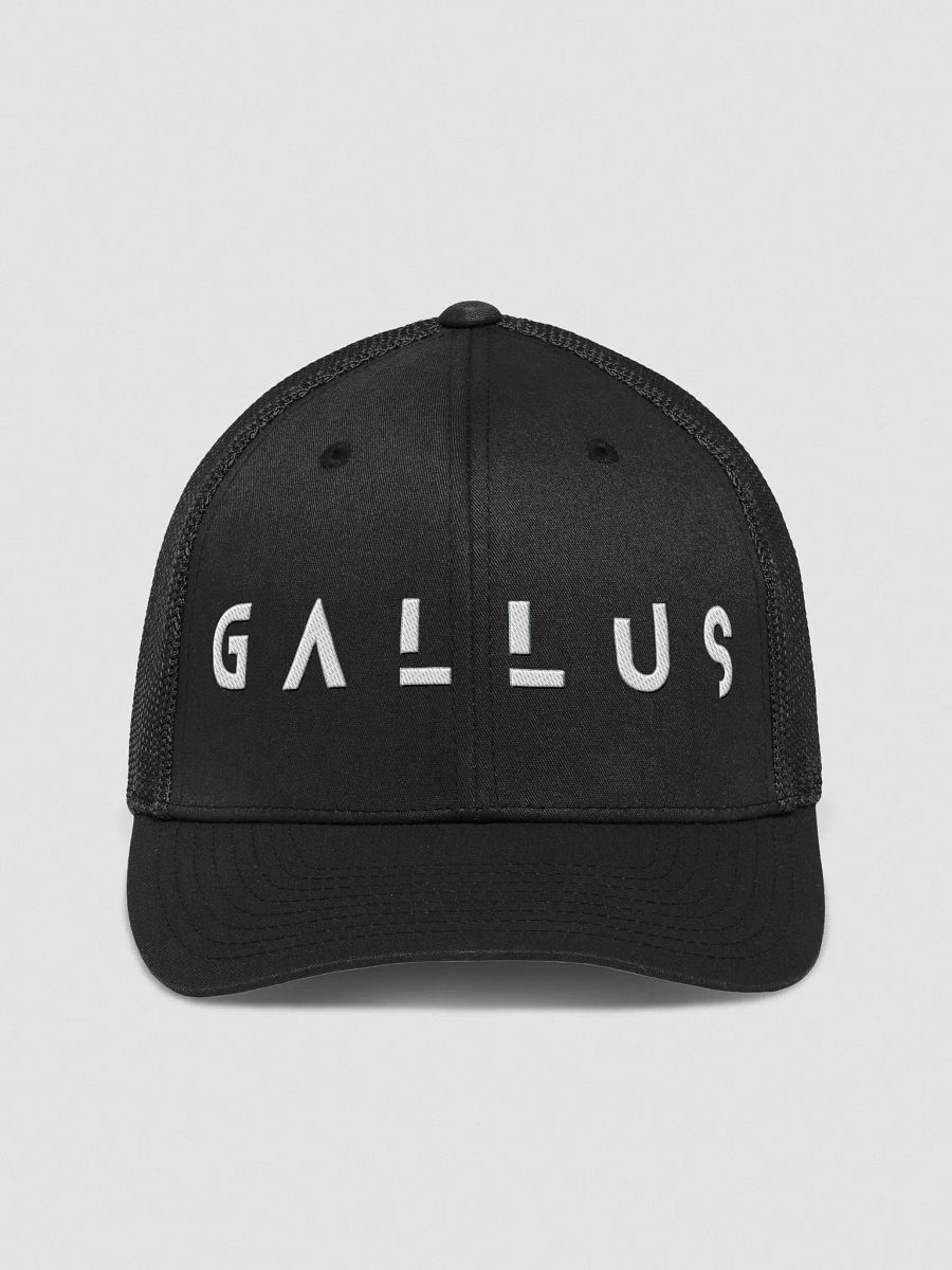 Gallus 2025 Collection product image (1)